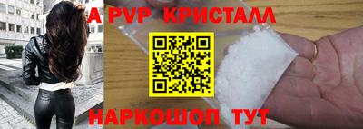 шишки Изобильный
