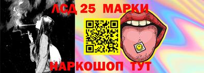 шишки Изобильный