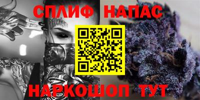 шишки Изобильный