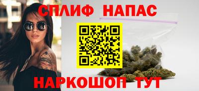 шишки Изобильный